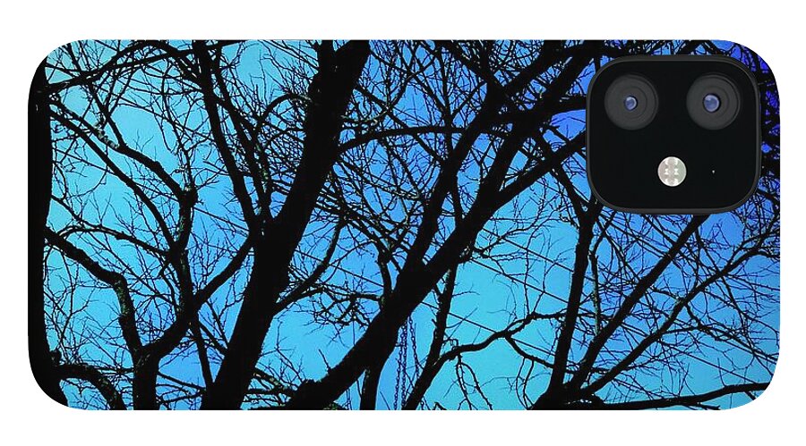 Winter Branch - Phone Case