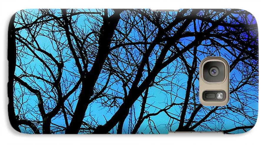 Winter Branch - Phone Case