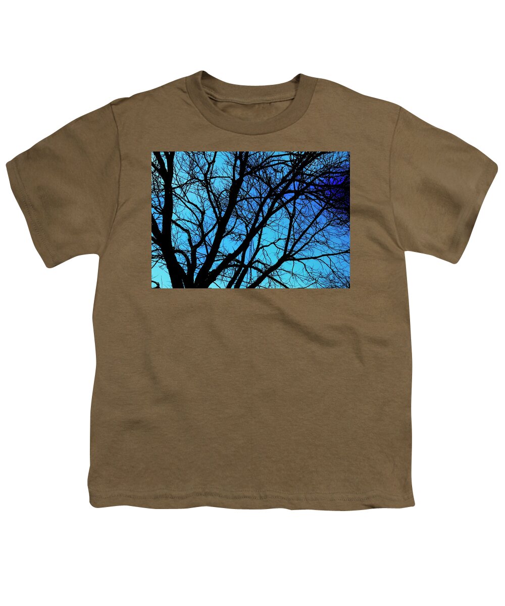 Winter Branch - Youth T-Shirt