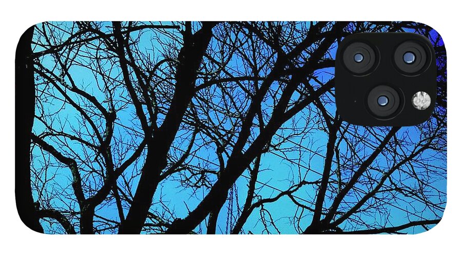 Winter Branch - Phone Case