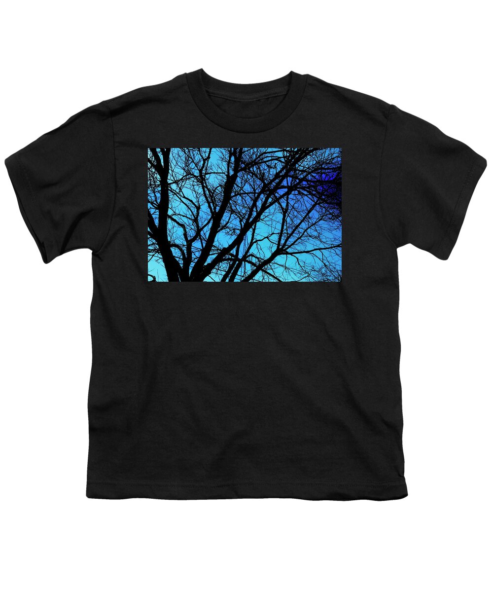 Winter Branch - Youth T-Shirt
