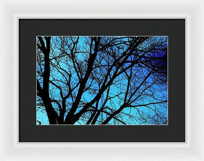 Winter Branch - Framed Print