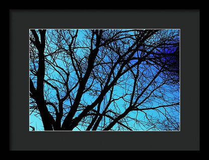 Winter Branch - Framed Print