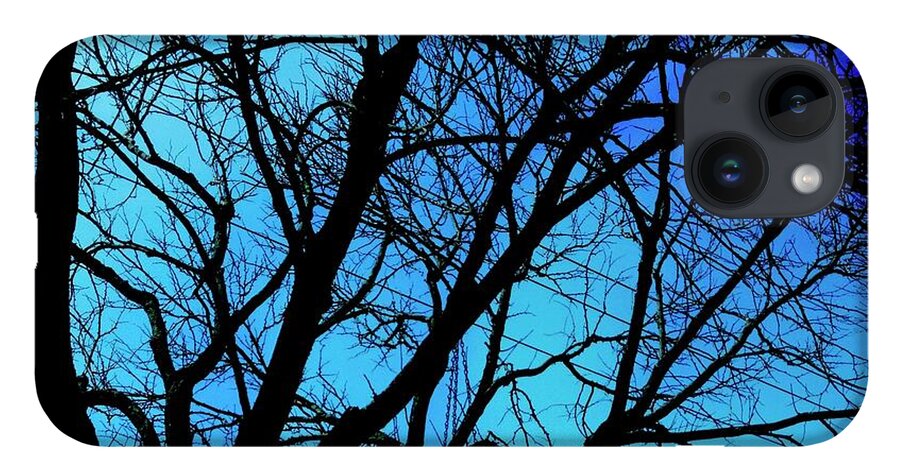 Winter Branch - Phone Case