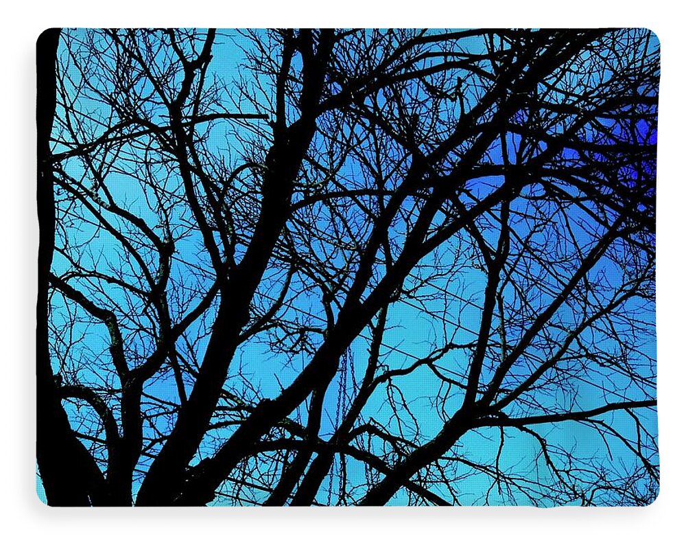 Winter Branch - Blanket