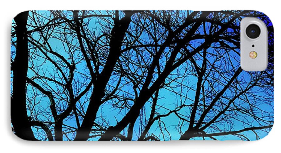 Winter Branch - Phone Case