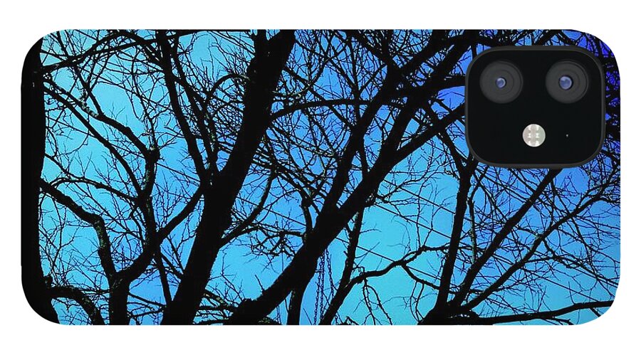 Winter Branch - Phone Case