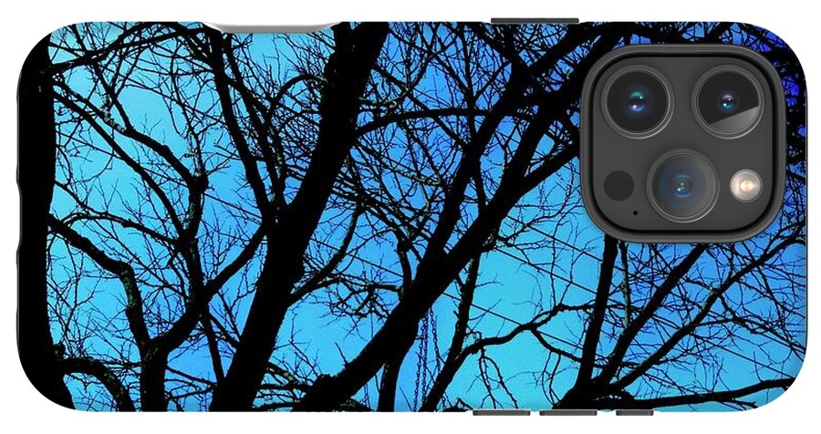 Winter Branch - Phone Case
