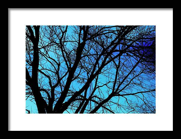 Winter Branch - Framed Print