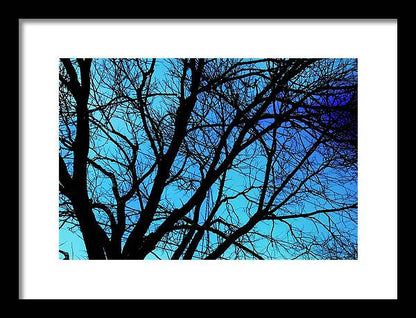 Winter Branch - Framed Print