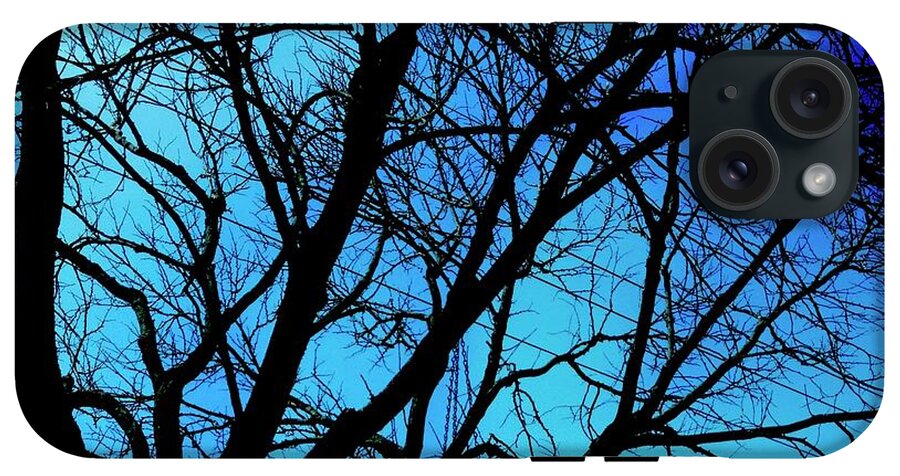 Winter Branch - Phone Case