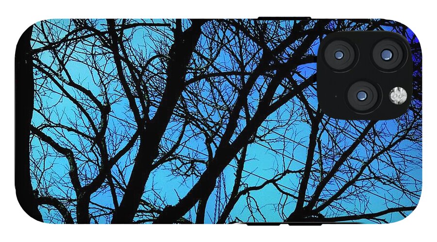 Winter Branch - Phone Case