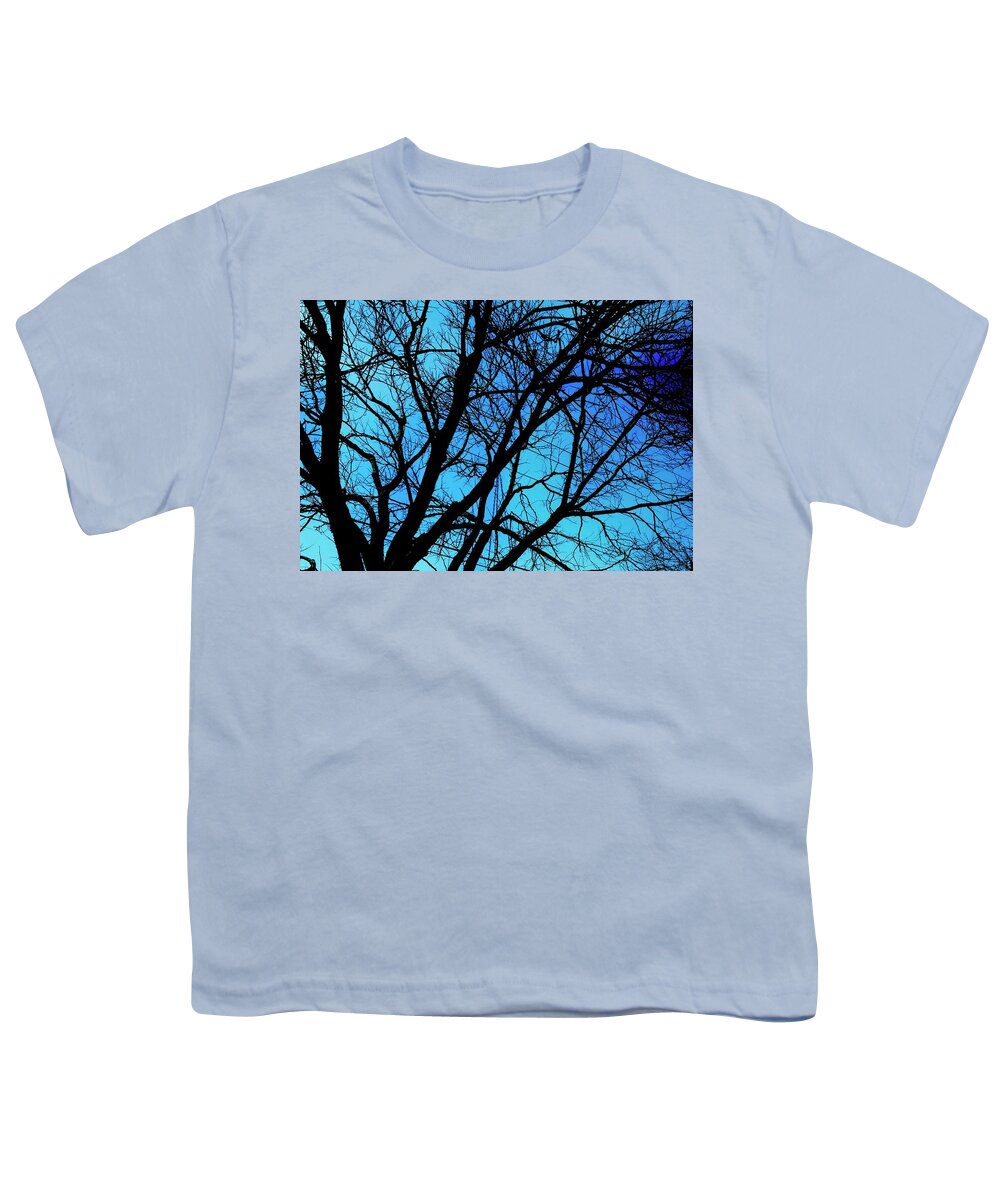 Winter Branch - Youth T-Shirt